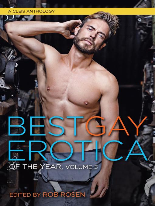 Cover image for Best Gay Erotica of the Year